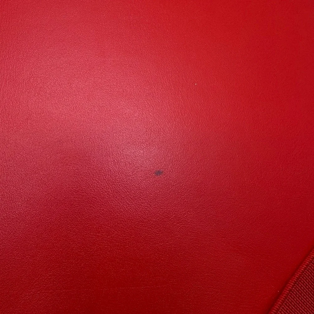 Christian Louboutin - authentic Mini IPad case - EUC